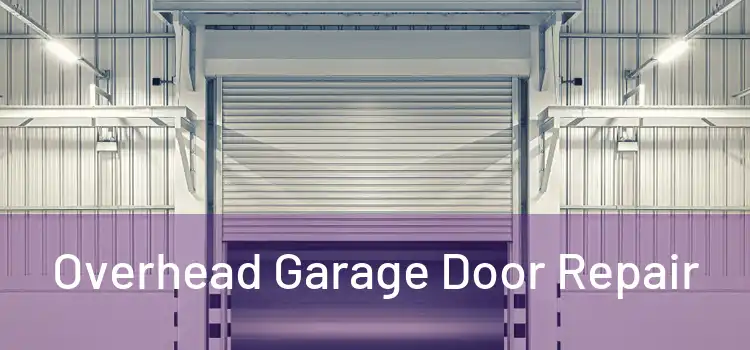  Overhead Garage Door Repair 